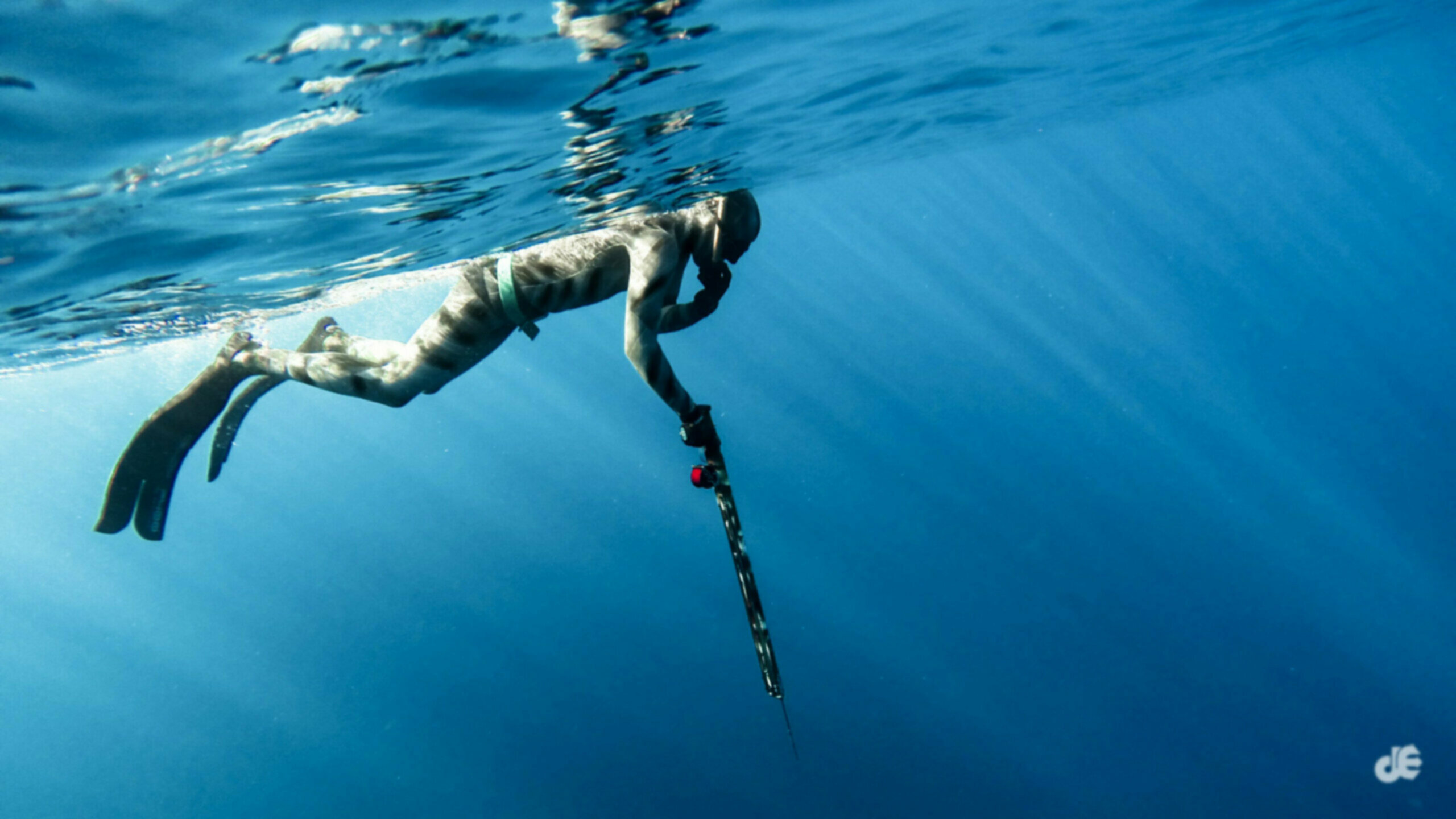 Spearfishing lessons